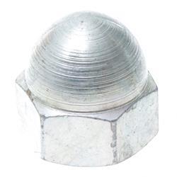 Picture of Nut- Acorn