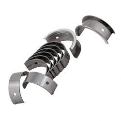 Picture of Bearing Kit - Main .25mm