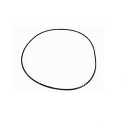 Picture of O-Ring
