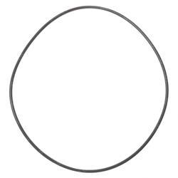 Picture of O-Ring