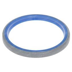 Picture of Seal - Dust