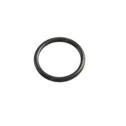 Picture of O-Ring