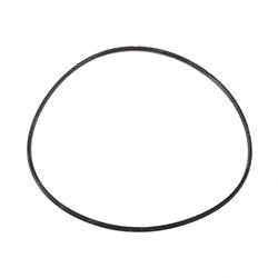 Picture of O-Ring