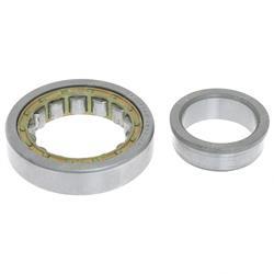 Picture of Bearing