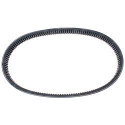 Picture of Belt- Dri