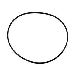 Picture of Seal