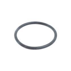 Picture of O-Ring