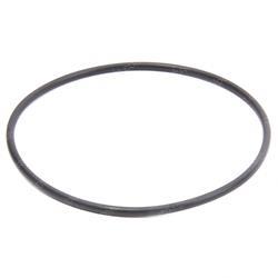 Picture of O-Ring