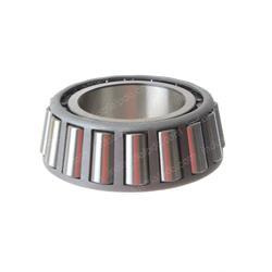 Picture of Cone-Bearing