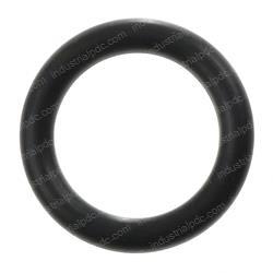 Picture of O-Ring