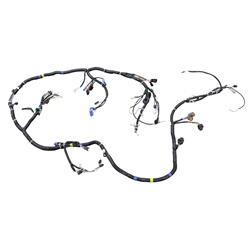 Picture of Harness B-D-