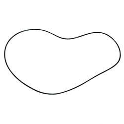 Picture of O-Ring