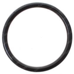 Picture of O-Ring