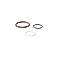 Picture of Seal Kit - Fluorocarbon/Viton
