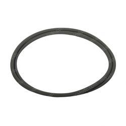Picture of O-Ring