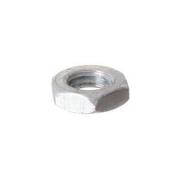 Picture of Nut Half