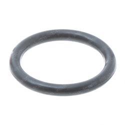 Picture of O-Ring