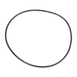 Picture of O-Ring