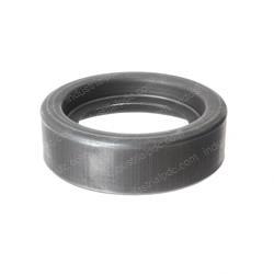 Picture of Retainer Spring