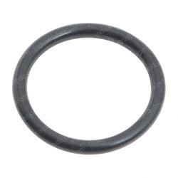 Picture of O-Ring