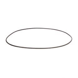 Picture of O-Ring