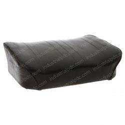 Picture of Cushion