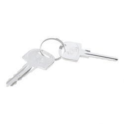 Picture of Keys - Ditch Witch