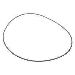 Picture of Seal