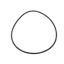 Picture of O-Ring