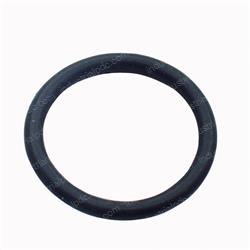 Picture of O-Ring