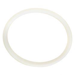 Picture of O-Ring