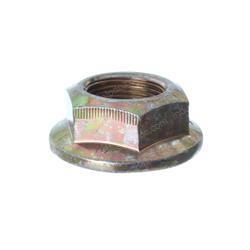 Picture of Nut