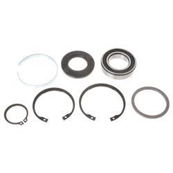 Picture of Bearing Kit
