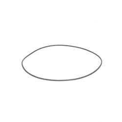 Picture of O-Ring