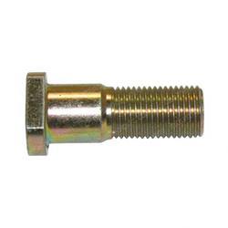 Picture of Bolt