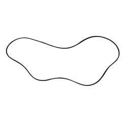 Picture of O-Ring