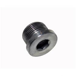 Picture of Plug - Screw