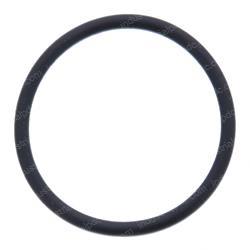 Picture of O-Ring