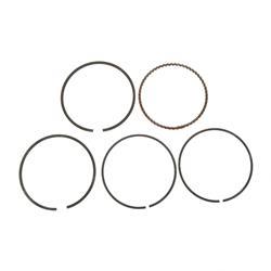 Picture of Ring Assy- Piston