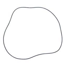 Picture of O Ring