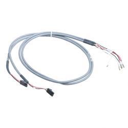 Picture of Harness Wiring