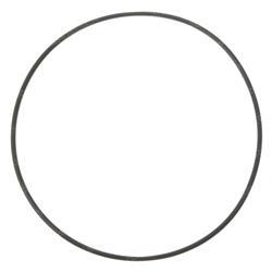 Picture of O-Ring