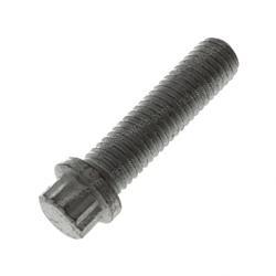 Picture of Bolt