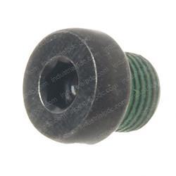 Picture of Plug - W/Head Straight