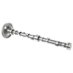 Picture of Camshaft Assembly