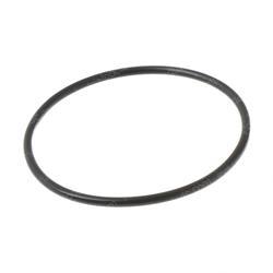 Picture of O-Ring