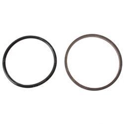 Picture of Seal-Slipper