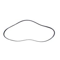 Picture of Belt - Serpentine