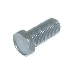 Picture of Bolt