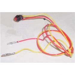 Picture of Switch and Wire Assembly